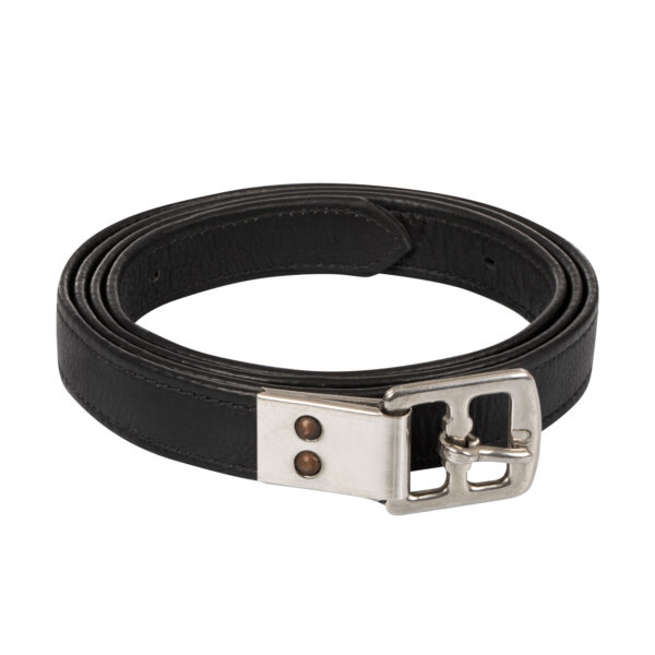 STAFFILI CUOIO CAPSULA INOX 145CM - immagine 2