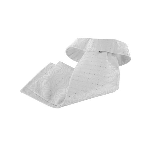 PLASTRON MODELLO SILVER - immagine 2