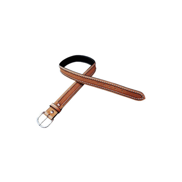 "CINTURA POOL'S MODELLO ""CLASSIC""" - immagine 2