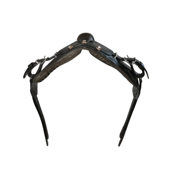 SELLINO FINIMENTO CARROZZA LUXURY (AS00200)
