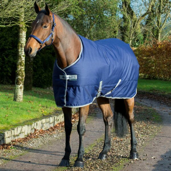 COPERTA FREEDOM STABLE 300 - immagine 2