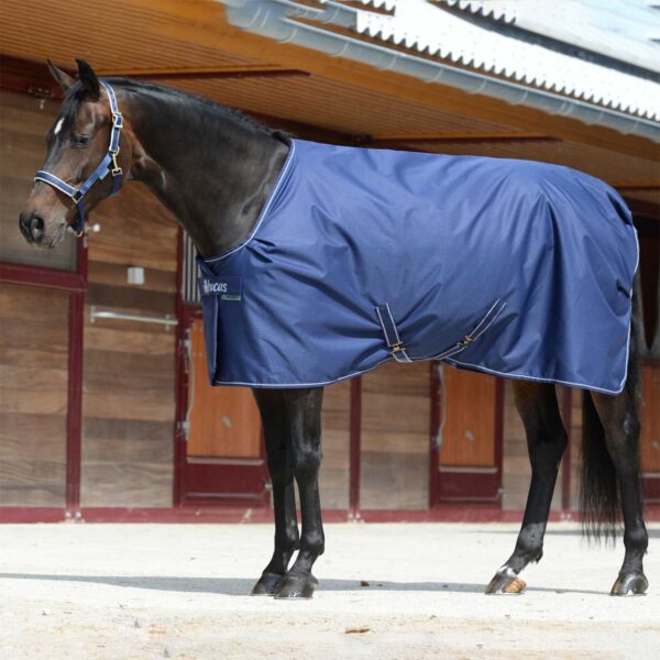 COPERTA IRISH STABLE EXTRA - immagine 2