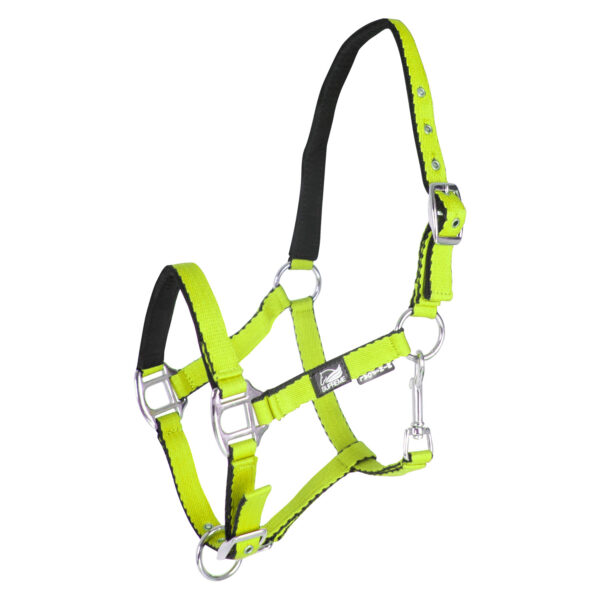 CAVEZZA PULEDRO IMBOTTITA SOFT TOUCH SUPREME - immagine 2