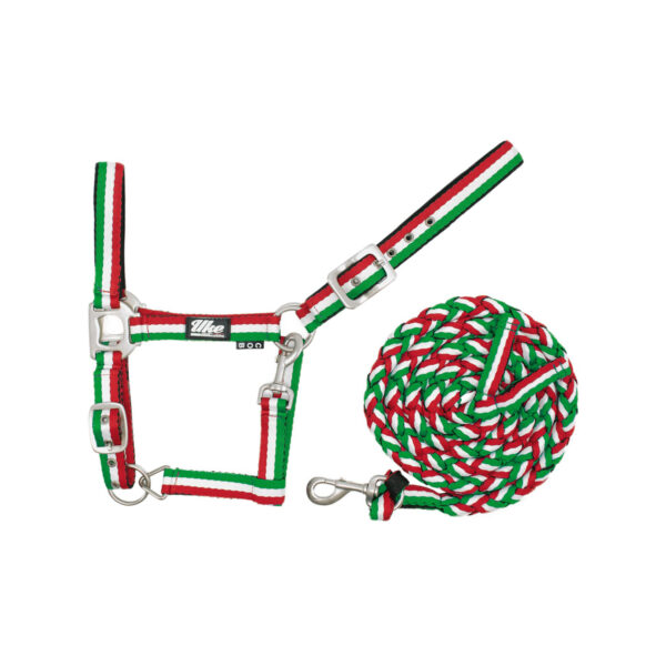 CAVEZZA NYLON TRICOLORE + LUNGHINA - immagine 2