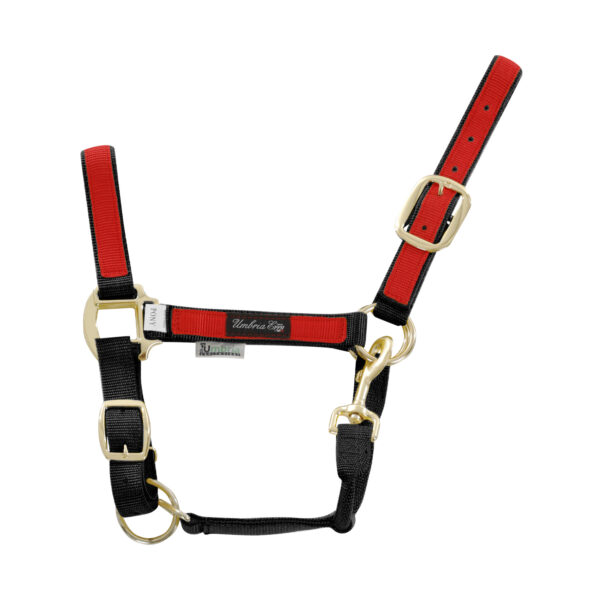 CAVEZZA NYLON RIPORTO COLORATO - immagine 2