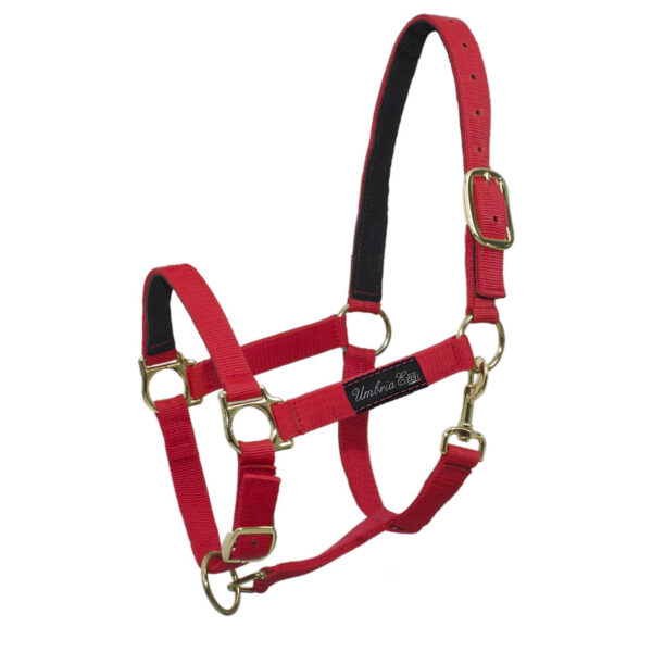 CAVEZZA NYLON RINFORZO PELLE