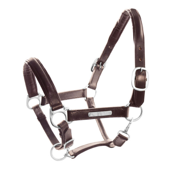CAVEZZA CUOIO DOPPIATO FIBBIE OTTONE