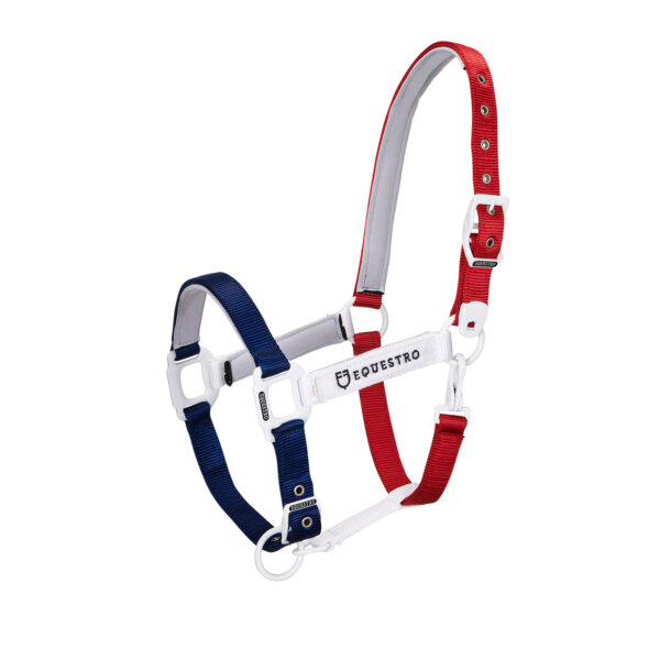 CAVEZZA EQUESTRO "FLAGGY" + LUNGHINA