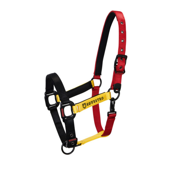CAVEZZA EQUESTRO "FLAGGY" + LUNGHINA - immagine 2