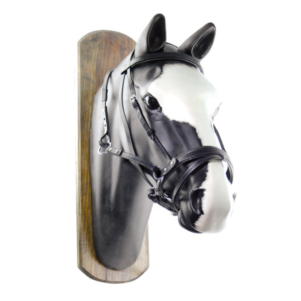 TESTIERA BITTLESS HORSE BALL C/REDINI - immagine 2