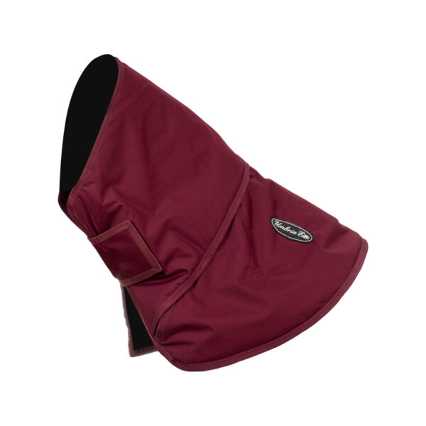 CAPPUCCIO 300 GR PER CO00280 MODELLO LONDON - immagine 2