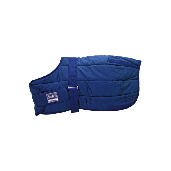 COPERTA BOX PULEDRO 250 GR MODELLO FOAL - immagine 2