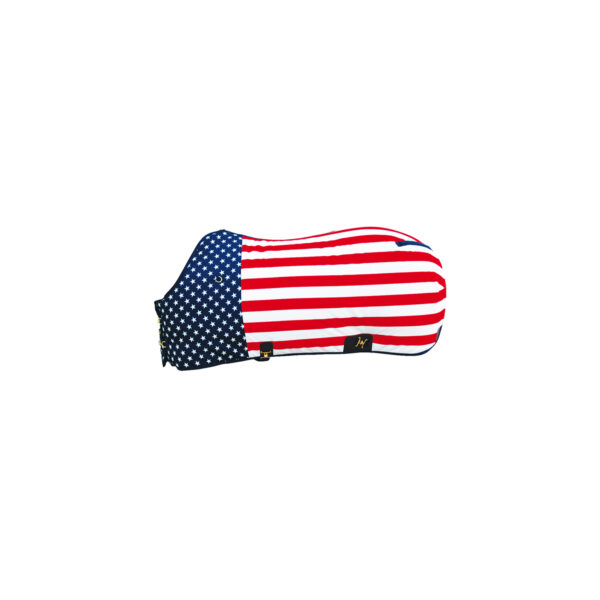 COPERTA WESTERN 300 GR MODELLO USA STARS - immagine 2