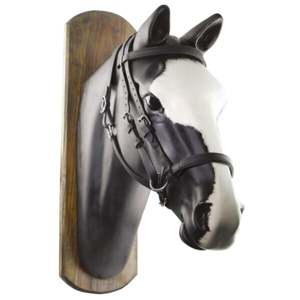 TESTIERA BIOTHANE HORSE BALL C/REDINI