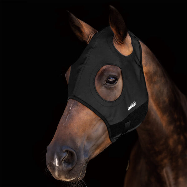 TITANIUM MASK COME BEST NO EARS - immagine 2