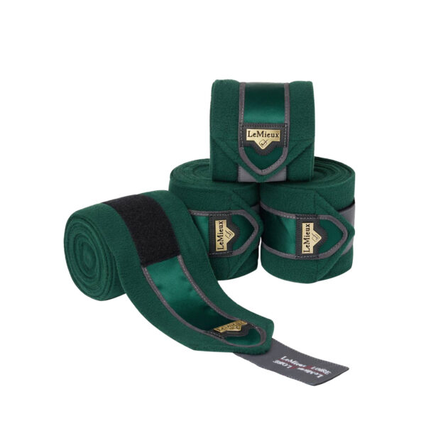 LOIRE POLO BANDAGES SPRUCE - immagine 2