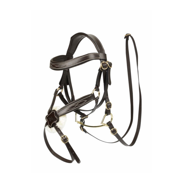 HOBBY HORSE GRACKLE BRIDLE BROWN - immagine 2