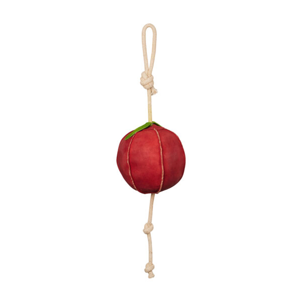 HORSE TOY APPLE - immagine 2