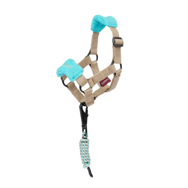 TOY PONY VOGUE HEADCOLLAR AZURE - immagine 2