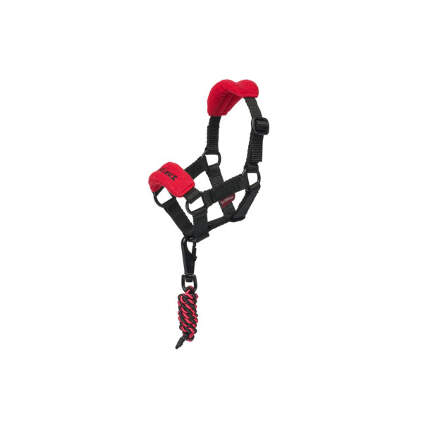TOY PONY VOGUE HEADCOLLAR CHILLI - immagine 2