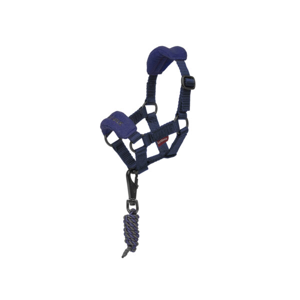 TOY PONY VOGUE HEADCOLLAR INK BLUE - immagine 2