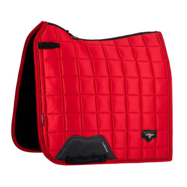 LOIRE DRESSAGE SQUARE CHILLI - immagine 2