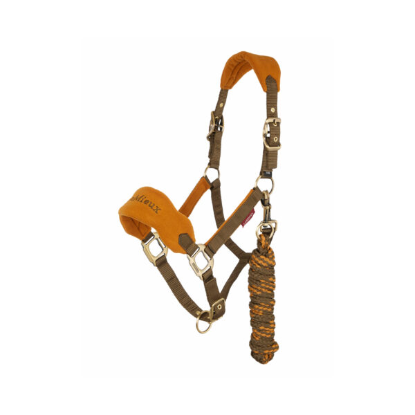 VOGUE HEADCOLLAR & LEADROPE ALPINE - immagine 2