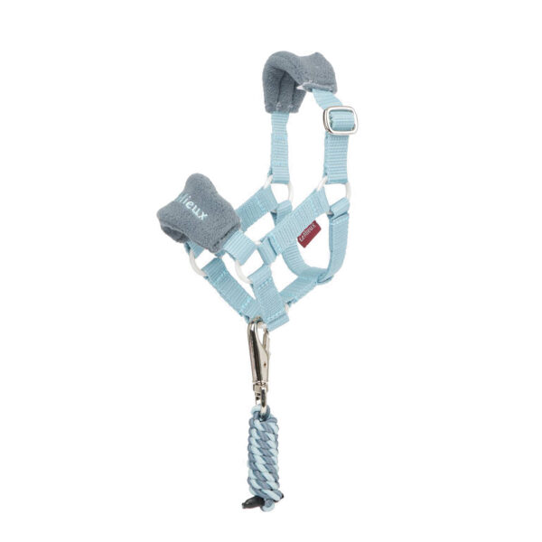 TOY PONY VOGUE HEADCOLLAR GLACIER - immagine 2