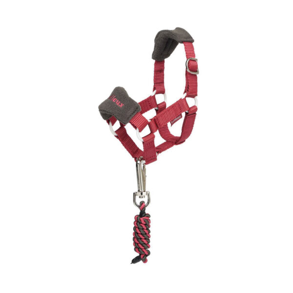 TOY PONY VOGUE HEADCOLLAR EMBER - immagine 2