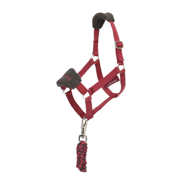 HOBBY HORSE VOGUE HEADCOLLAR EMBER - immagine 2