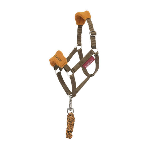 HOBBY HORSE VOGUE HEADCOLLAR ALPINE - immagine 2