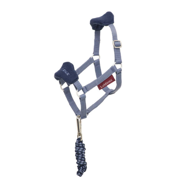 HOBBY HORSE HEADCOLLAR JAY BLUE - immagine 2