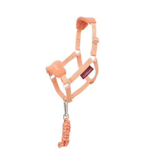 HOBBY HORSE HEADCOLLAR APRICOT - immagine 2