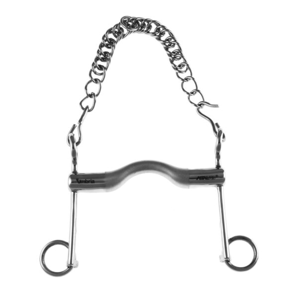 MORSO DRESSAGE ASTE FISSE SATINATO PRO BITS - immagine 2