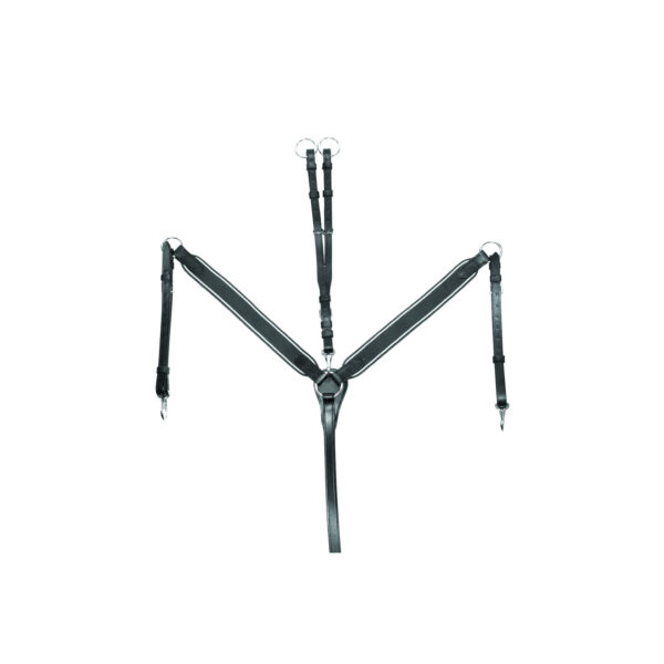 PETTORALE ELASTICO + MARTINGALA SUPREME - immagine 2