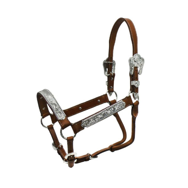 CAVEZZA POOL'S ARGENTI ELHT/00932 - immagine 2