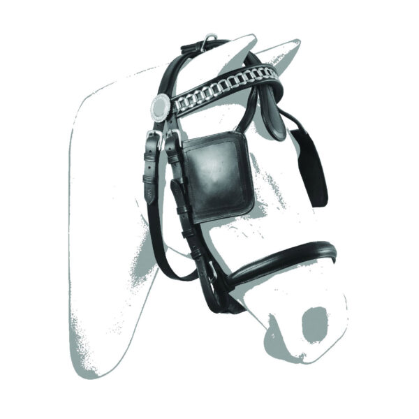 TESTIERA CARROZZA MODELLO LUXURY - immagine 2