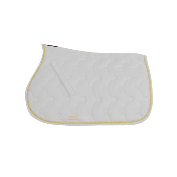 SOTTOSELLA C/CORDONE PONY DERBY