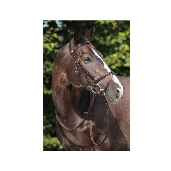 TESTIERA STUBBEN LEITRIM SERIE 2300