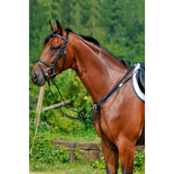 Breastplate with elastic and running attachment