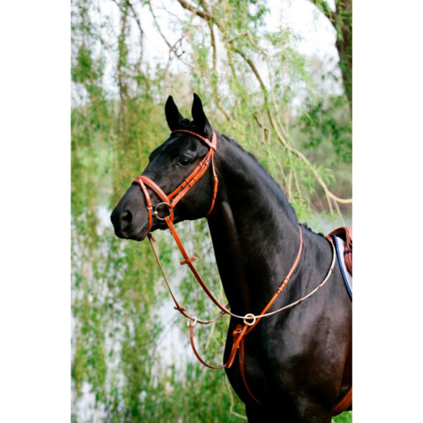 Ringmartingal
