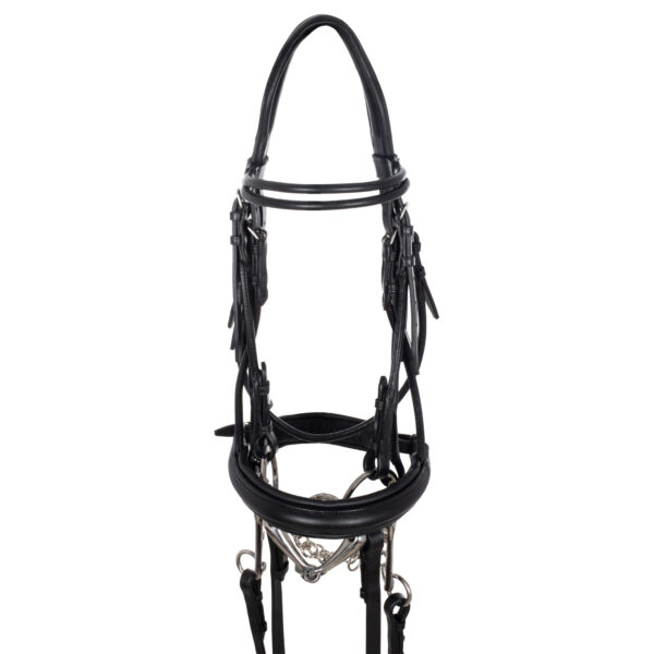 BRIGLIA DRESSAGE DOUBLE ROUND BROWBAND - immagine 2