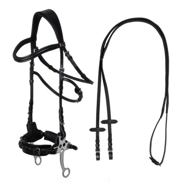 HACKAMORE BRIDLE - immagine 2