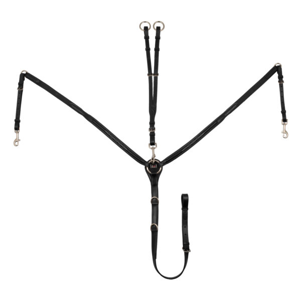 CONTRAST RAISED BREASTPLATE - immagine 2