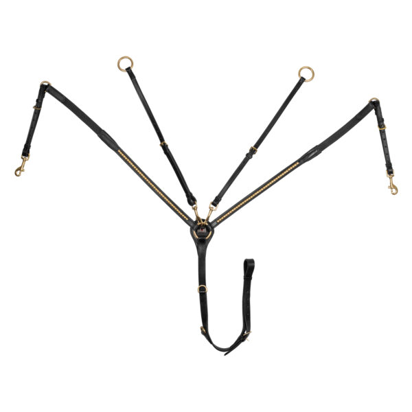PETTORALE MODELLO BRASS CLINCHER