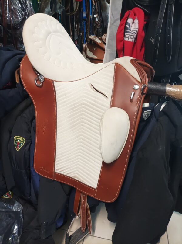 Zaldi drim Lusitanos