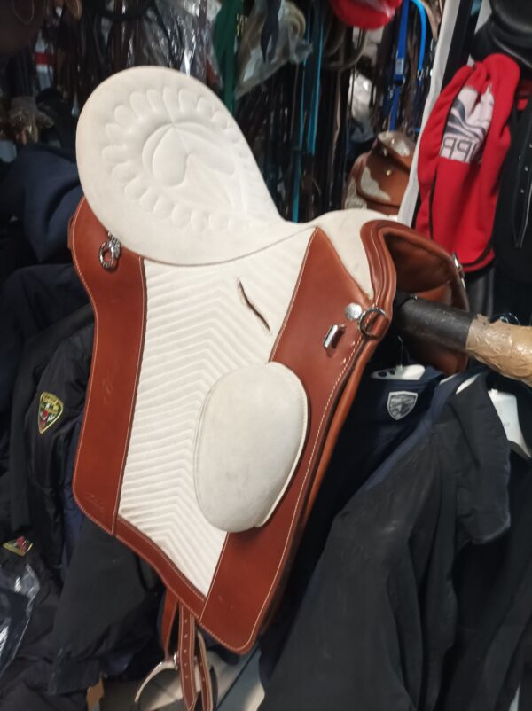 Zaldi drim Lusitanos - immagine 2